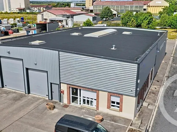Local professionnel 621 m²