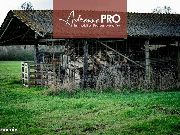 Local commercial 166 m²