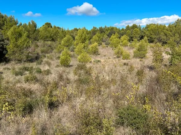 Terrain agricole 4670 M2