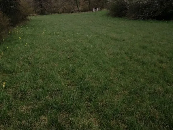 Location terrain paturage de 3000 m2 + abri