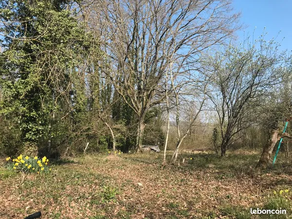 Terrain nature / loisirs 2 330 m² - Citry (77730)