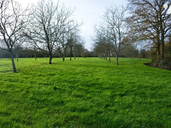 Terrain 9026 m²