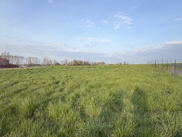 Terrain en individuel 1135 m²