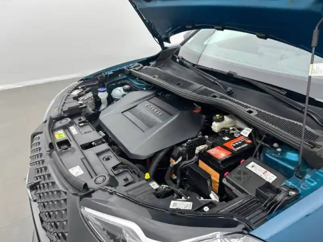 Ds Ds 3 ds3 crossback e-tense — photo 38
