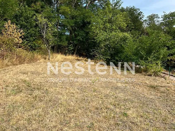 Terrain constructible Lutzelhouse 533 m2