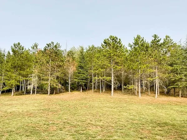 Terrain constructible de 3500 m²