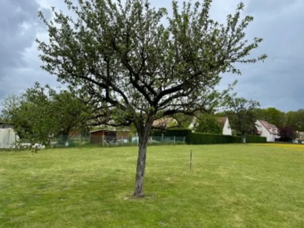 Terrain 500 m²