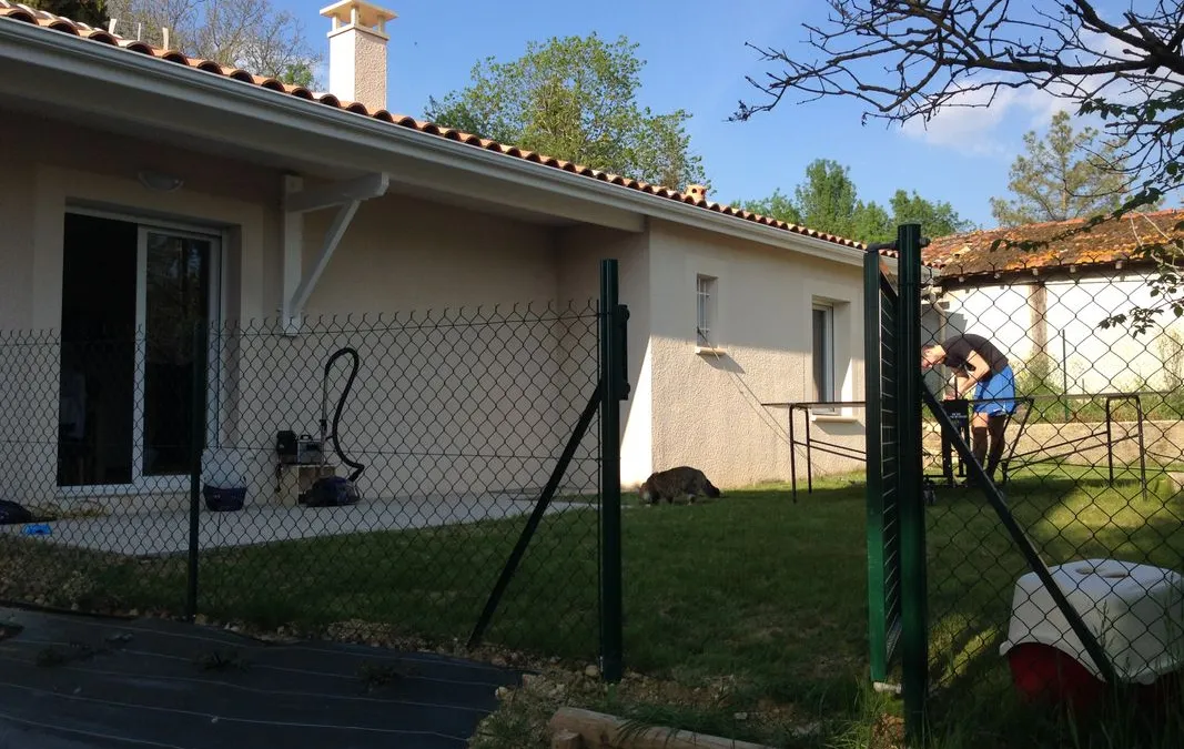 Photo 1