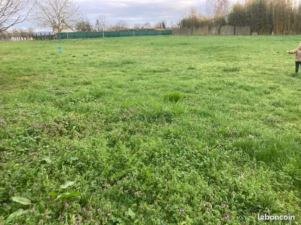Terrain constructible