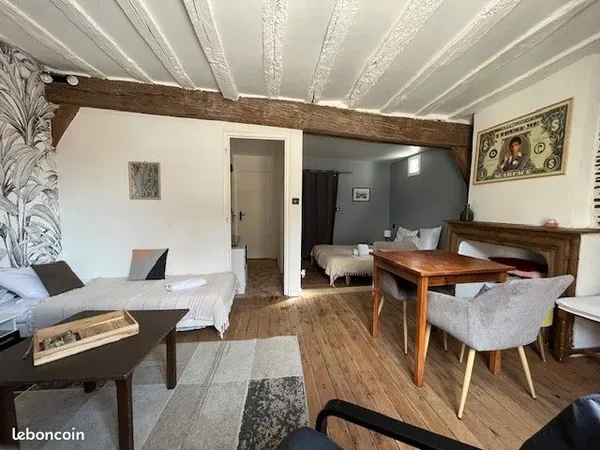 Appartement meublé T2 loft dans petite résidence conviviale avec espaces communs