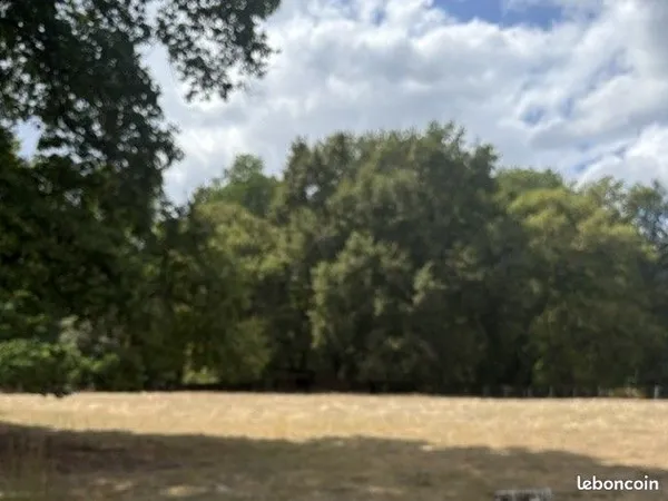 Les Demeures d'Aquitaine proposent ce terrain à bâtir de 1159 m² borné et à viabiliser sur la commun