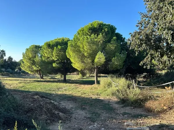 Terrain 817 m²