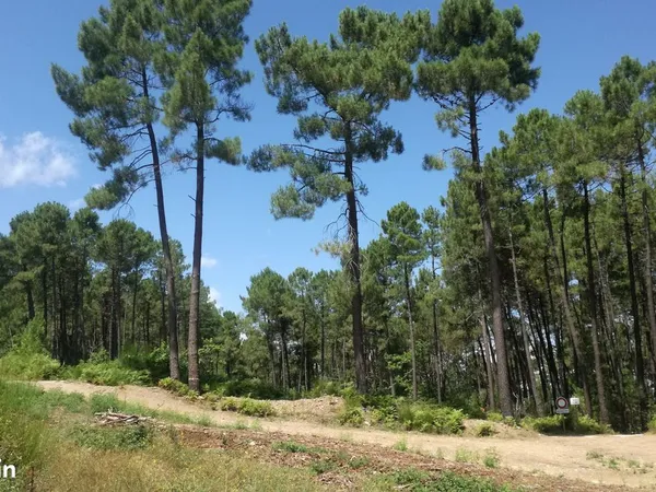 Terrain de Loisirs