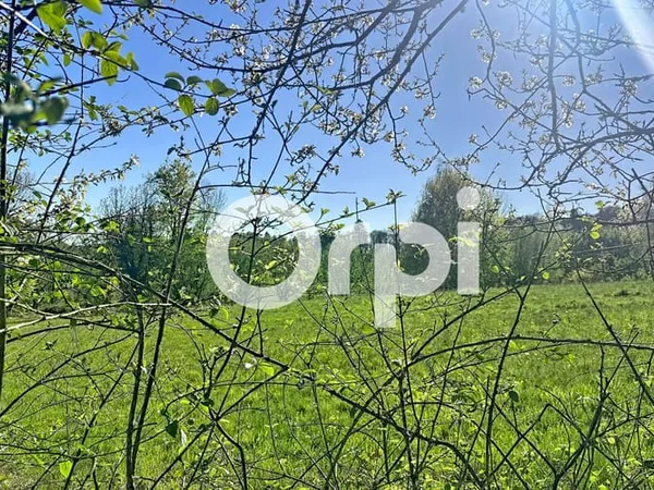 Terrain 2154 m²