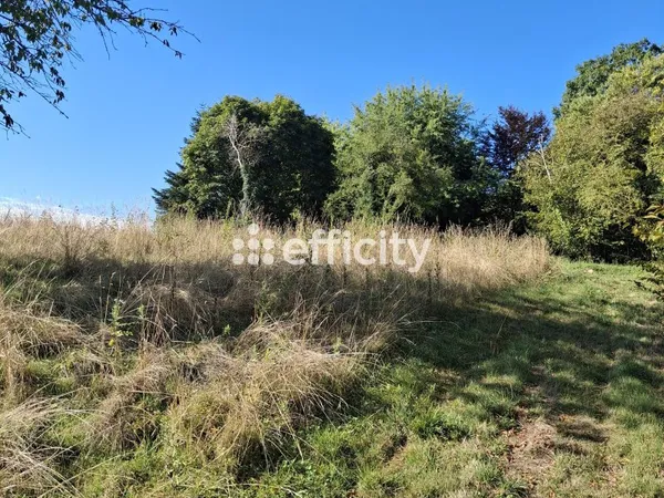 Terrain 796 m²