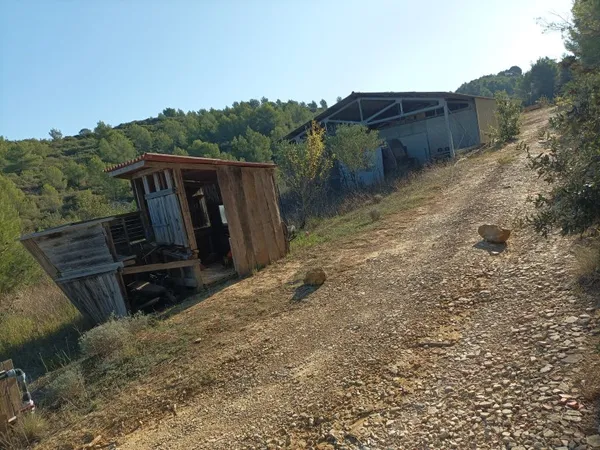Vends terrain agricole 2,6ha + 2 bâtiments de 83m² + forage