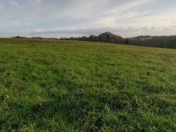 Terrain 500 m²
