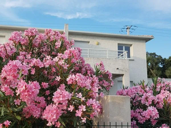 A l; annee - t3 - garage - jardinet- ghisonaccia