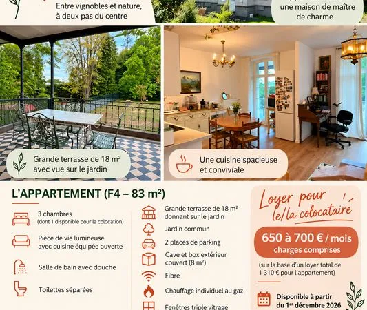 Colocation ribeauvillé