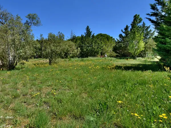 Terrain 1423 m²