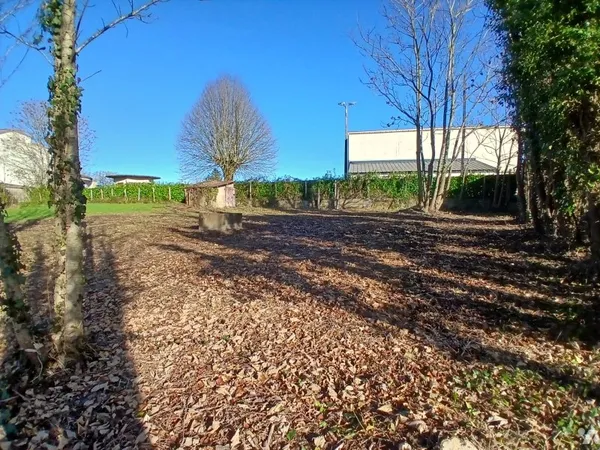 Terrain 550 m²