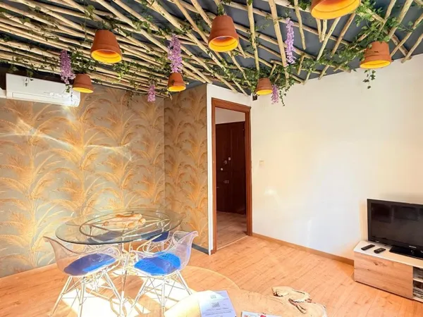 Appartement T3- meublé- rénové- combles aménageables