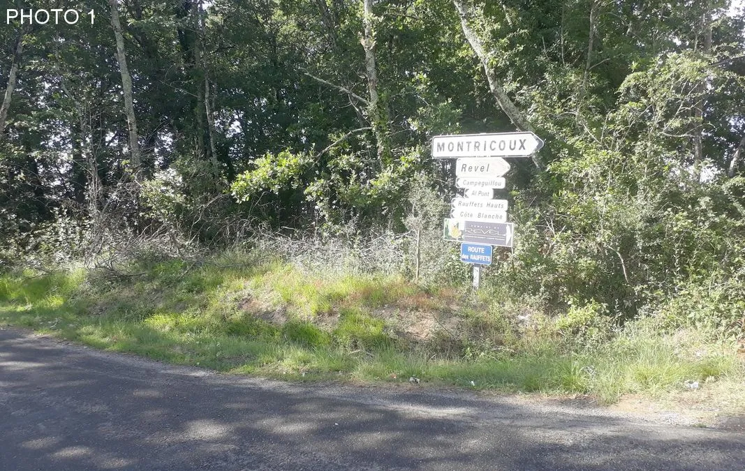 Photo 1