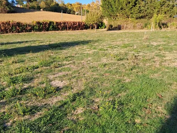 Terrain à bâtir