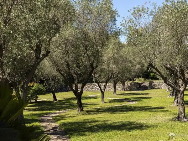 Histoire et charme d'un manoir de campagne sur plus d'un hectare de parc paysager avec oliveraie et 