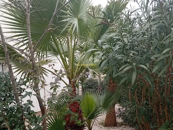 AGDE RARE MAISON DPE classé A (environ 200M² ) SUR 492M² DE TERRAIN .QUARTIER CALME