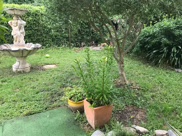 Villa 4 pièces 100 m²