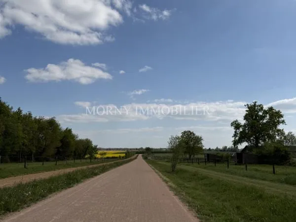 Vends haras