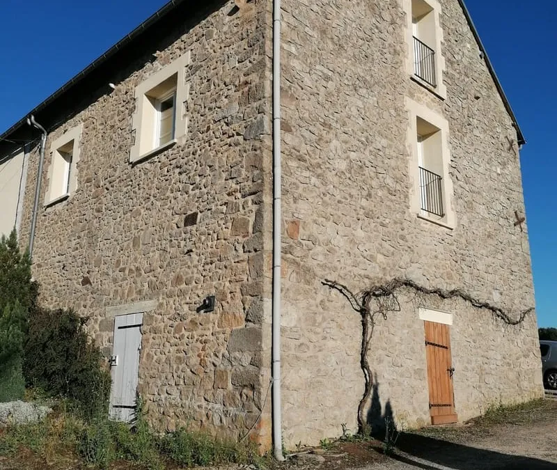 Photo 20