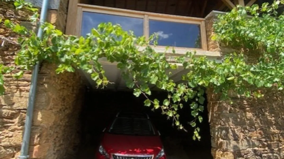 Photo 15