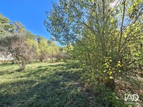 Terrain 1031 m²