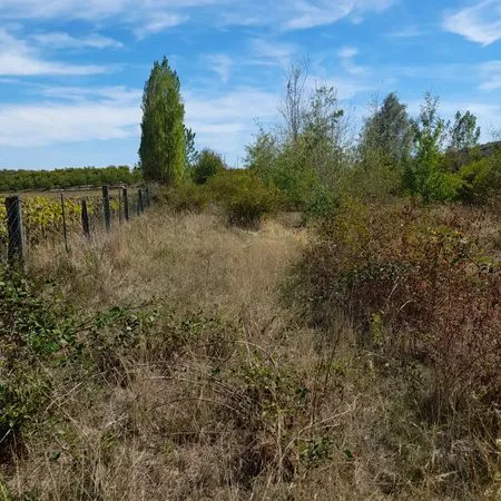 Terrain ( agricole) ou de loisirs