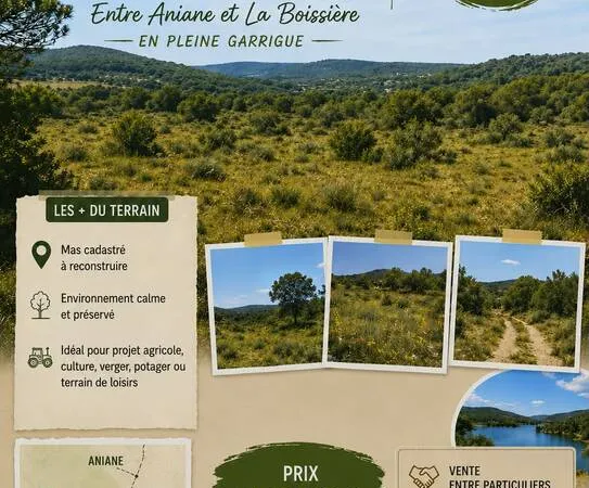 Terrain 8000 m²