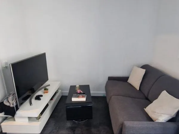Appartement f1 bis meublé ou pas