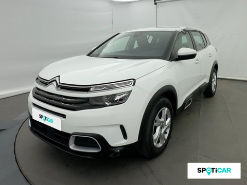 Citroën C5 Aircross bluehdi 130ch s&s business eat8