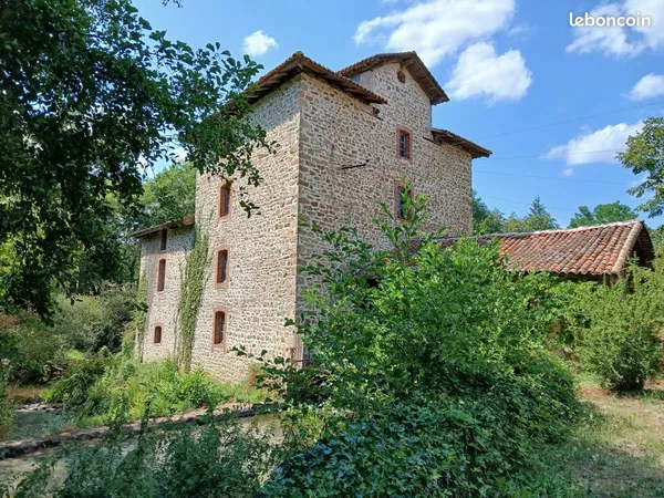 Propriété 11 pièces 240 m²