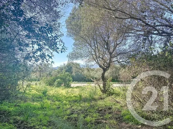 Terrain à bâtir 875 m²