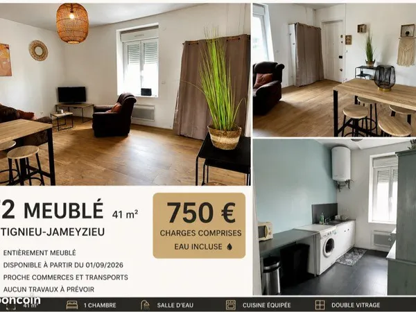 Appartement T2 meublé - Tignieu-Jameyzieu - 41 m² - Très bon état