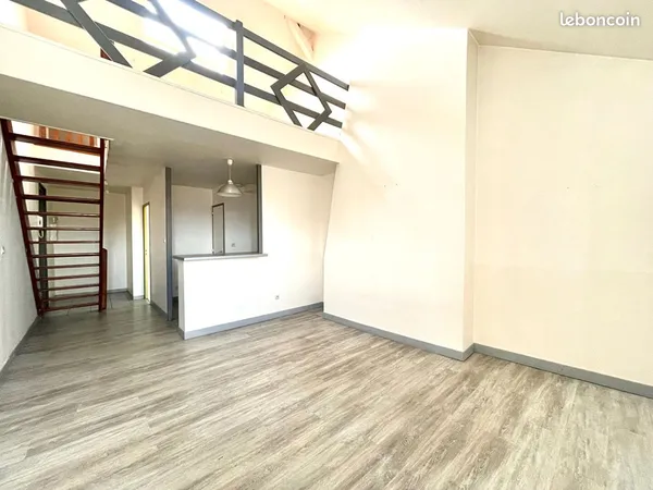 Duplex 2 pièces 50 m²