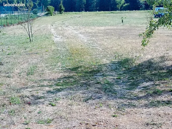 Terrain verger