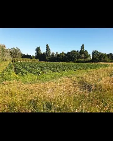 Terrain Agricole 5m du centre