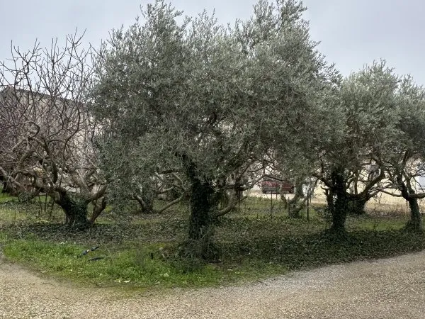 Terrain 861 m²