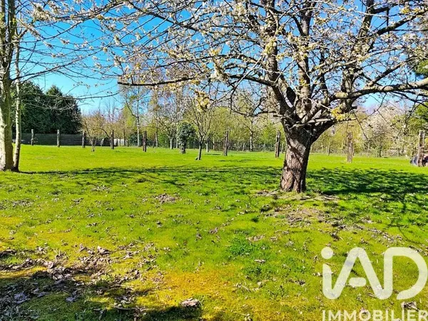 Terrain 1654 m²