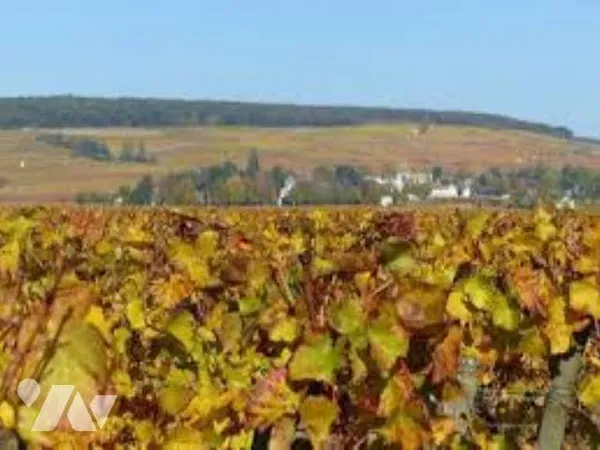 Bien agricole 1162 m²
