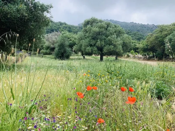 Terrain à batir .