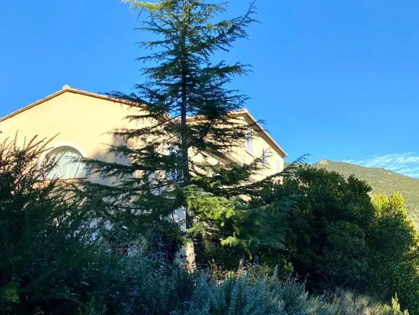 Maison a vendre avec grand terrain